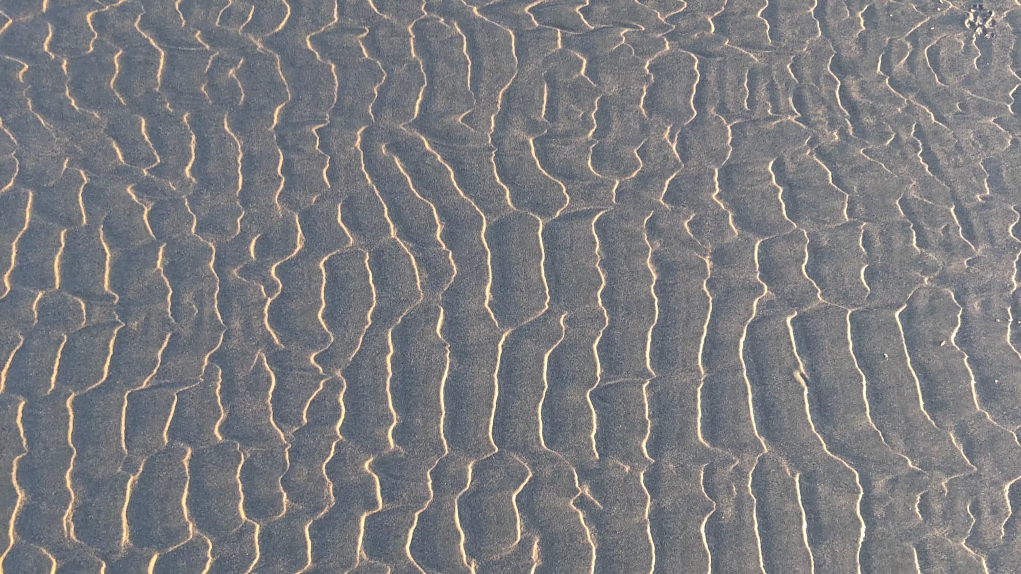 Photo by Lucas Homer Hero image - Beach sand rippled into a pattern by water.